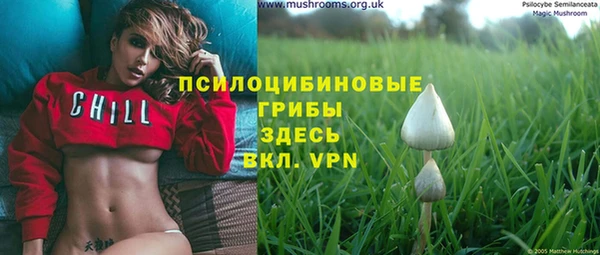 крисы Пестово