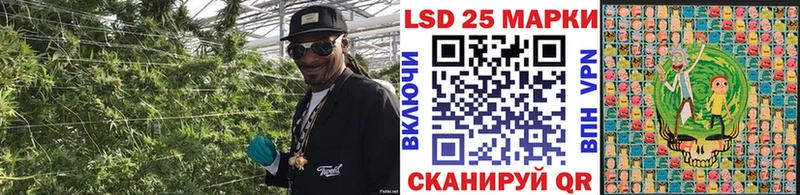 ОМГ ОМГ как зайти  Бавлы  Марки NBOMe 1,5мг 