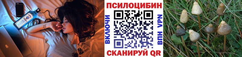 купить закладку  Бавлы  Галлюциногенные грибы мицелий 