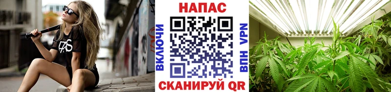 Конопля White Widow  цены   Бавлы 